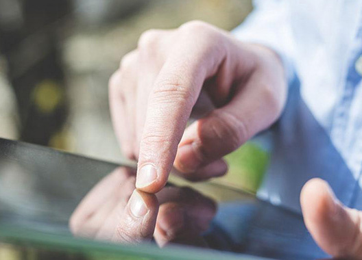 太阳成集团61999(中国)有限公司官网