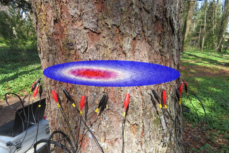 太阳成集团61999(中国)有限公司官网