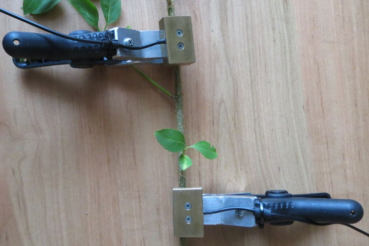 太阳成集团61999(中国)有限公司官网