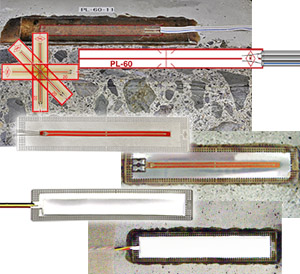 太阳成集团61999(中国)有限公司官网