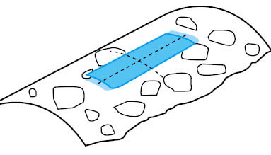 太阳成集团61999(中国)有限公司官网