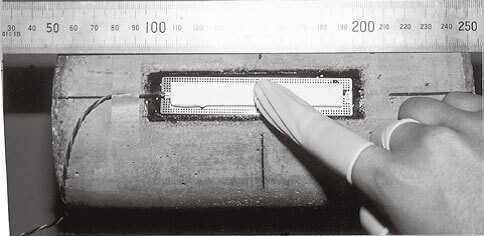 太阳成集团61999(中国)有限公司官网