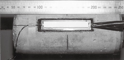 太阳成集团61999(中国)有限公司官网