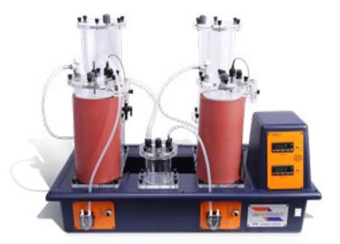 太阳成集团61999(中国)有限公司官网