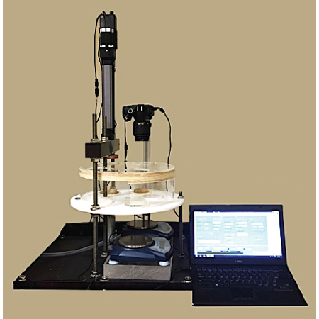 太阳成集团61999(中国)有限公司官网