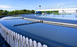 太阳成集团61999(中国)有限公司官网