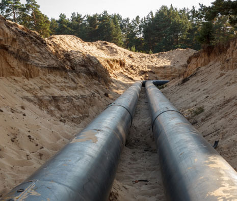 太阳成集团61999(中国)有限公司官网