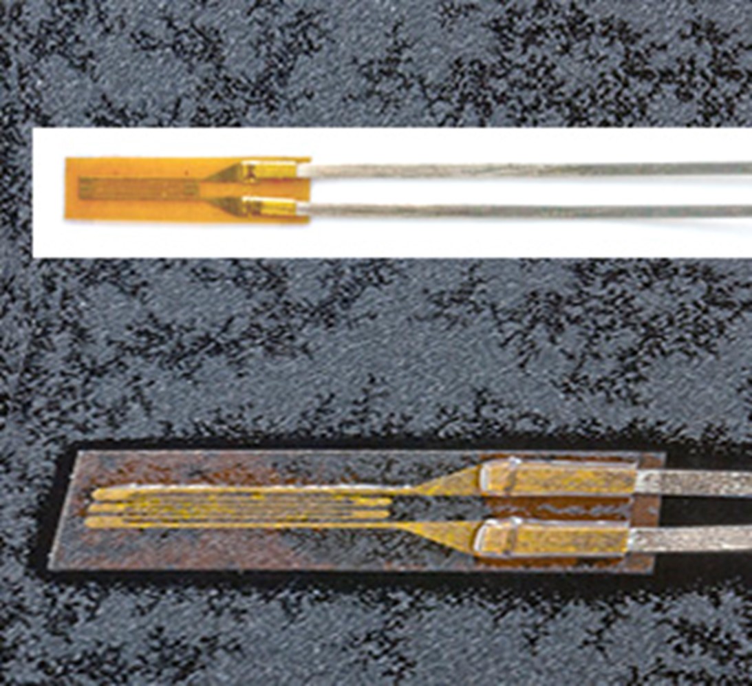 太阳成集团61999(中国)有限公司官网