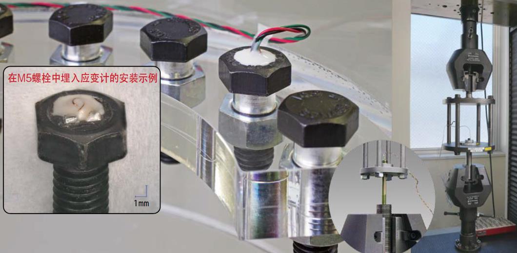 太阳成集团61999(中国)有限公司官网