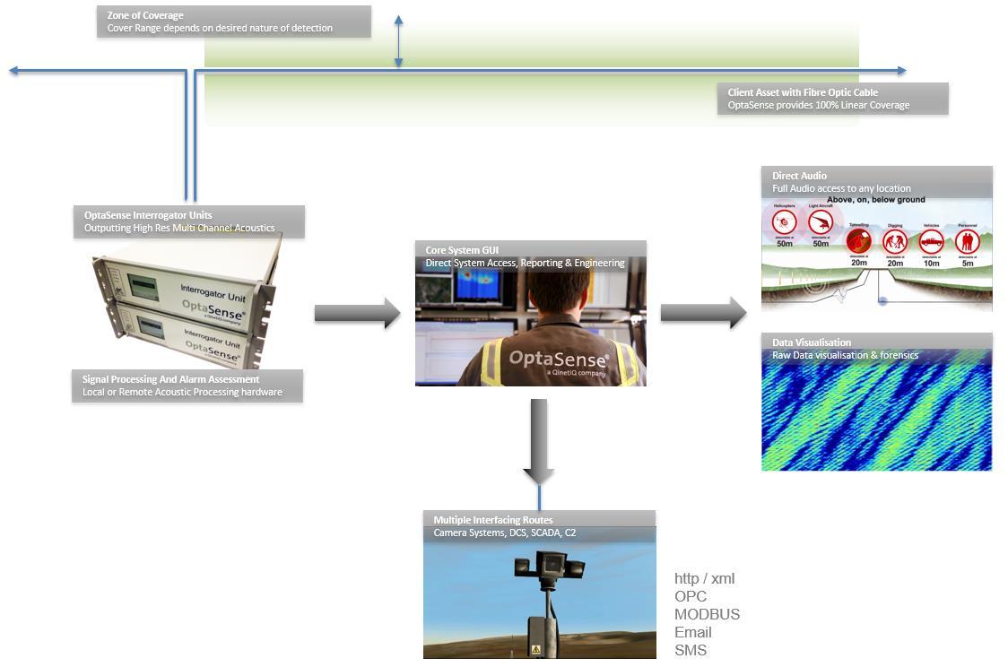 太阳成集团61999(中国)有限公司官网