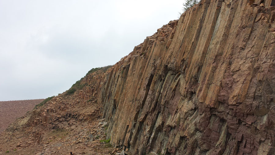 太阳成集团61999(中国)有限公司官网