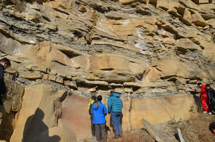 太阳成集团61999(中国)有限公司官网