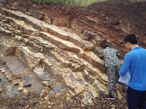 太阳成集团61999(中国)有限公司官网