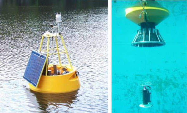 太阳成集团61999(中国)有限公司官网