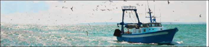 太阳成集团61999(中国)有限公司官网