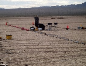 太阳成集团61999(中国)有限公司官网