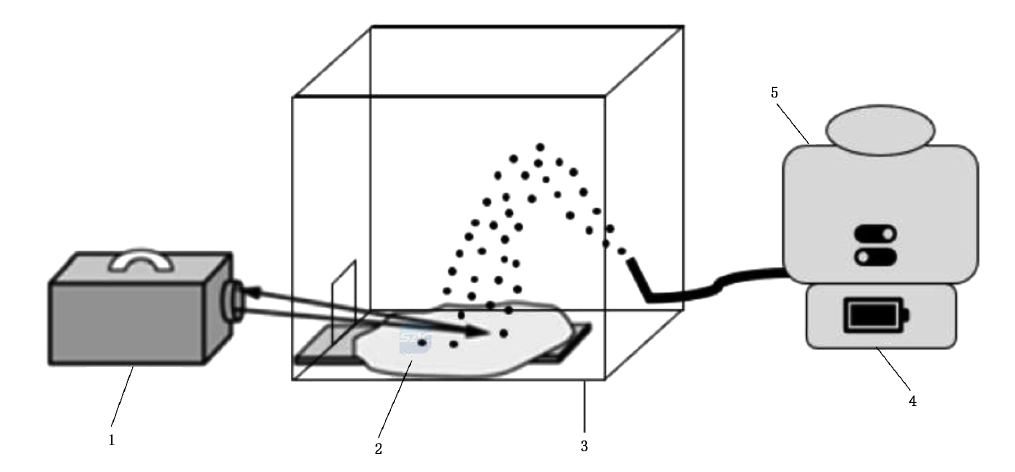 太阳成集团61999(中国)有限公司官网