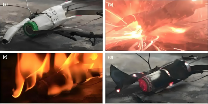 太阳成集团61999(中国)有限公司官网