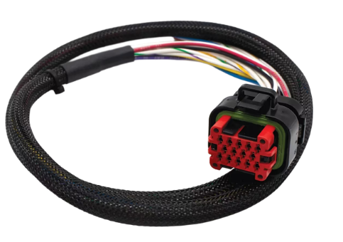 太阳成集团61999(中国)有限公司官网