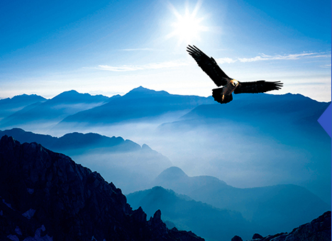 太阳成集团61999(中国)有限公司官网