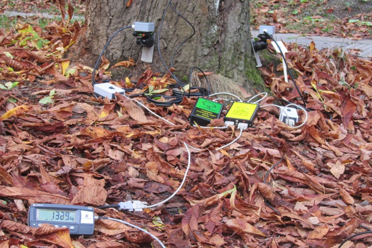 太阳成集团61999(中国)有限公司官网