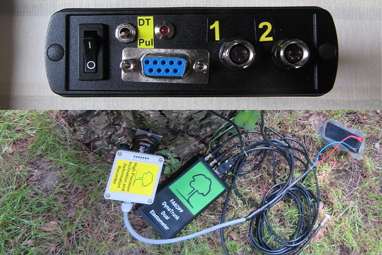 太阳成集团61999(中国)有限公司官网